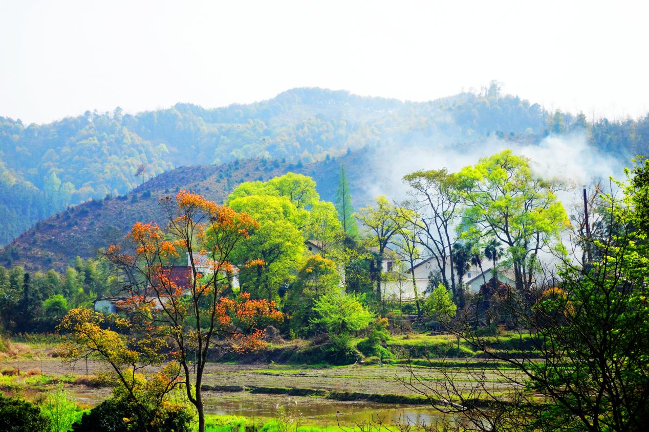 优秀作品之一《炊烟冬日暖阳》