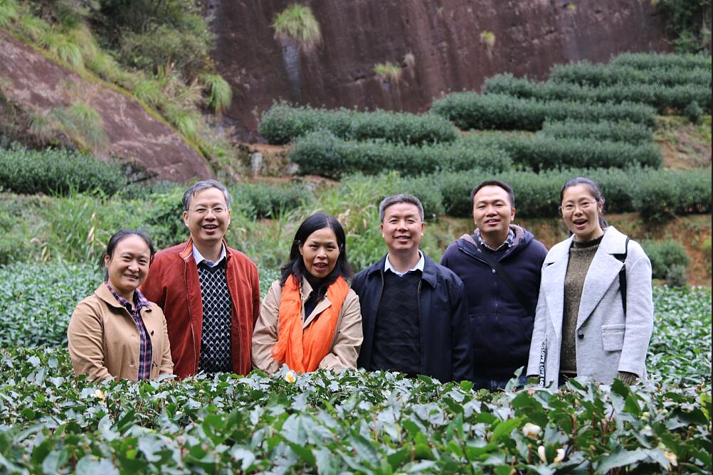 支部成员深入武夷山的茶山茶企了解当地生源情况